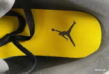  Low Jordan Gold' 'Black Air University 553558-071 1 0606